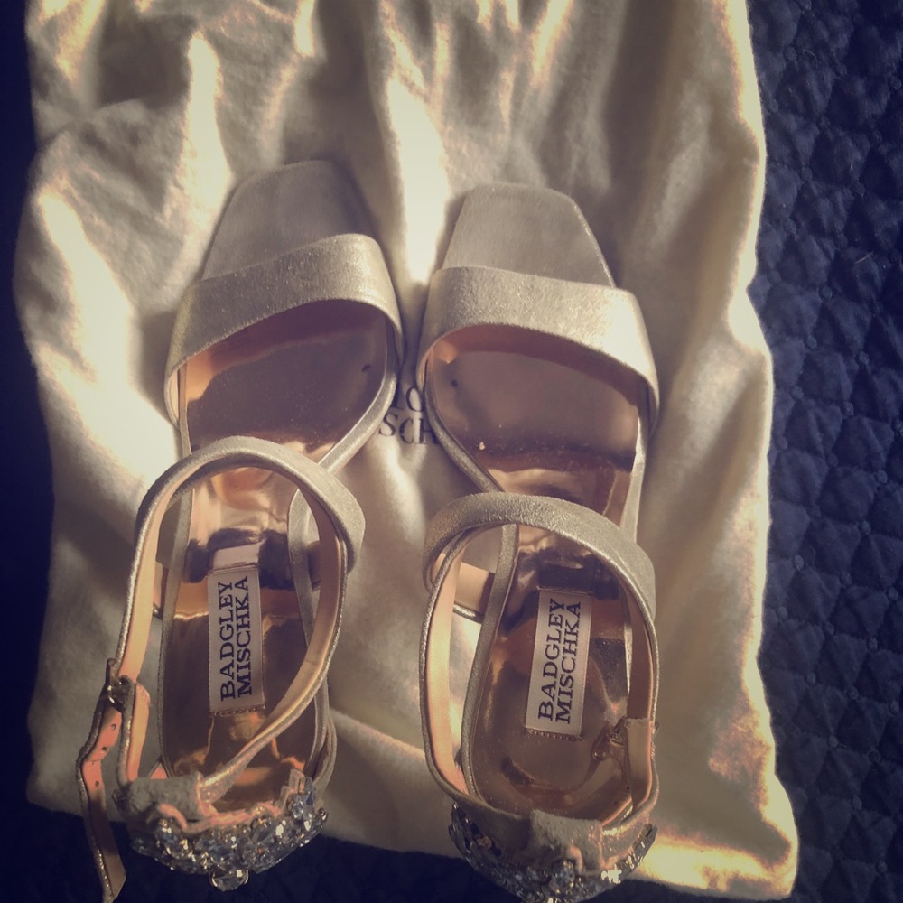 Barely Used Badgley Mischka Cadence II
